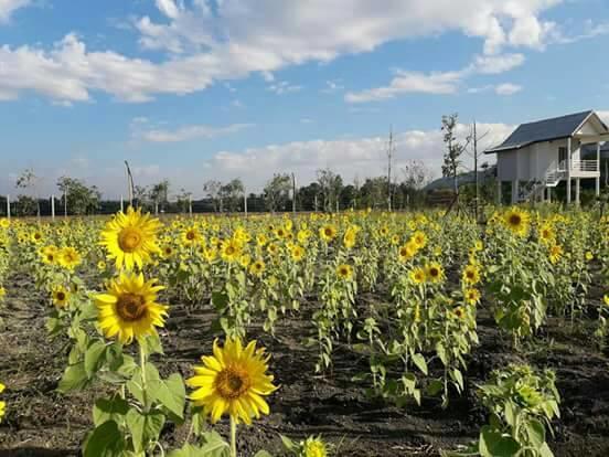 Baan Suan Geb Tawan Hotel Lopburi Bagian luar foto